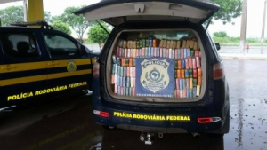 PRF intercepta 452 kg de cocaína na BR 262 em Miranda, uma das maiores apreensões de sua história