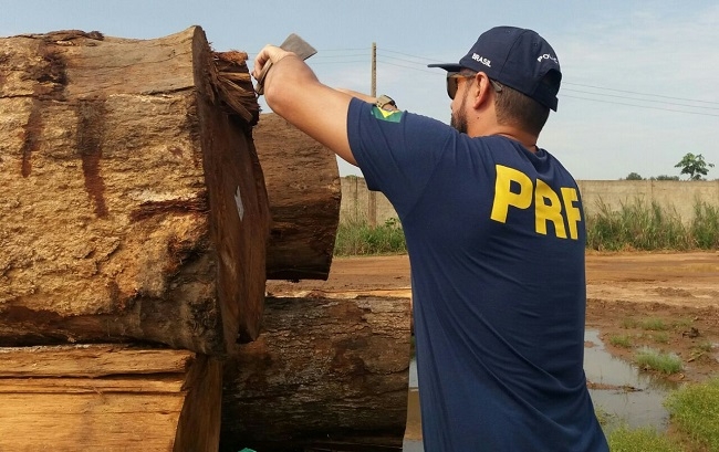 PRF capacita policias para a identificação e fiscalização de madeira