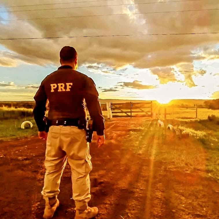 Dia do Policial Rodoviário Federal: Uma história de cidadania e compromisso com a vida nas estradas
